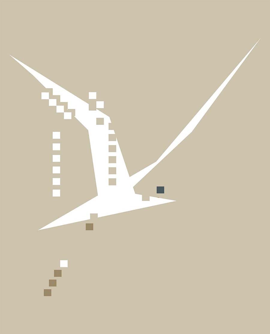 Bird Bits